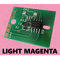 Tron SS21 One Time Use 2 Liter Chip