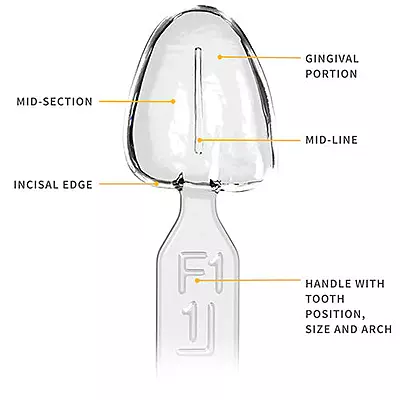 Waldent MyVeneer Composite Template System