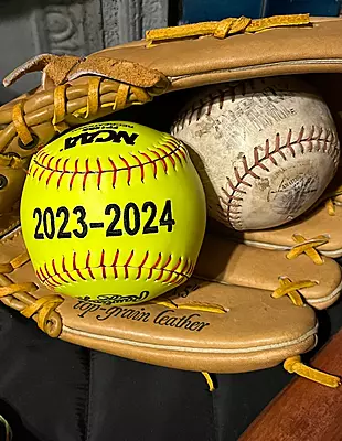 Embroidered Baseball Custom Stats, Birth Announcement, Coach Gift