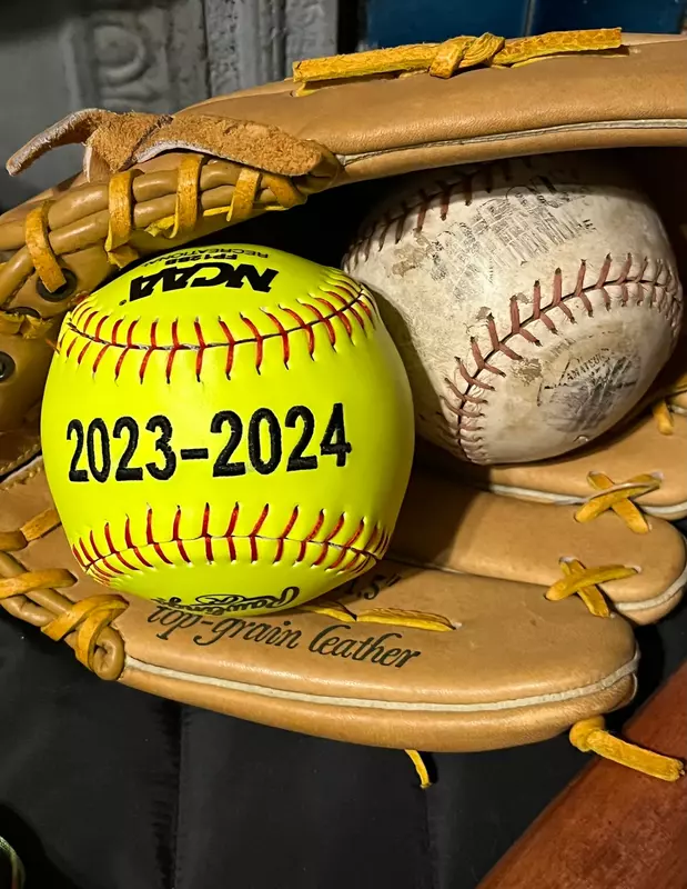 Embroidered Baseball Custom Stats, Birth Announcement, Coach Gift