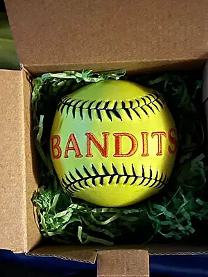 Embroidered Baseball Custom Stats, Birth Announcement, Coach Gift