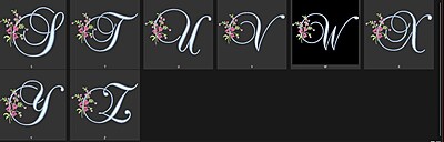 EMBROIDERED DINNER NAPKINS