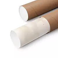 Vintage Iris Flower Print, Antique Botanical Illustration, Cottagecore Wall Art