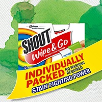 Shout Wipe & Go, Laundry Instant Stain Remover, 12 Wipes