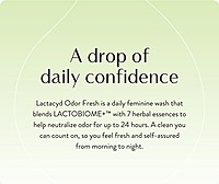 Lactacyd Feminine Wash - Odor Block 250ml
