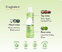 Lactacyd Feminine Wash - Odor Block 250ml