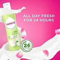 Lactacyd Feminine Wash - Odor Block 250ml