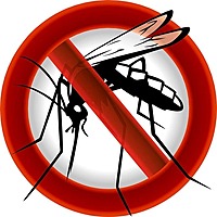 Waxworks 4L Citronella Scented Lamp Oil