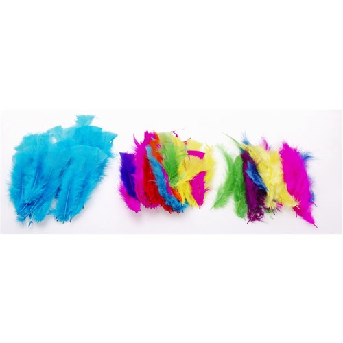 Jasart Feathers Small Assorted Pack  of 50