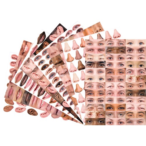 Zart Paper Face Pack  A3 Assorted Pack  of 40