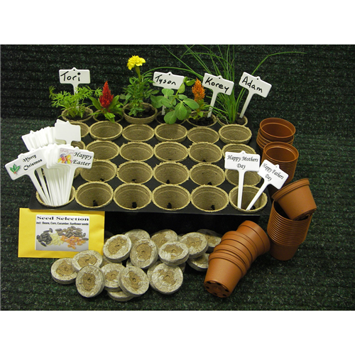 Dynamic Colours Enviro Grow Premium Growing Kit - 30 Kids