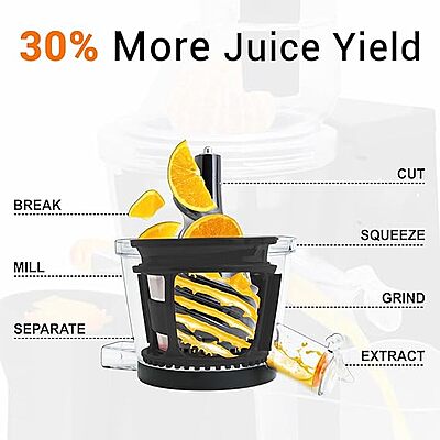 Inalsa slow juicer Nutri N Vit