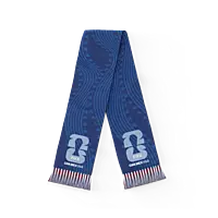 JORDAN World Cup 2026 Fans Silk Scarf Blue