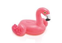 Intex Puff 'N Play Water Toy - 58590