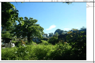 ¡Terreno Estratégico en el Corazón de Jiquilisco! 2787 v2