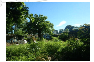 ¡Terreno Estratégico en el Corazón de Jiquilisco! 2787 v2