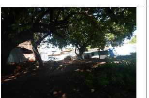 ¡Terreno Estratégico en el Corazón de Jiquilisco! 2787 v2