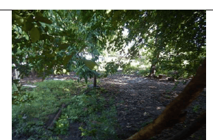 ¡Terreno Estratégico en el Corazón de Jiquilisco! 2787 v2