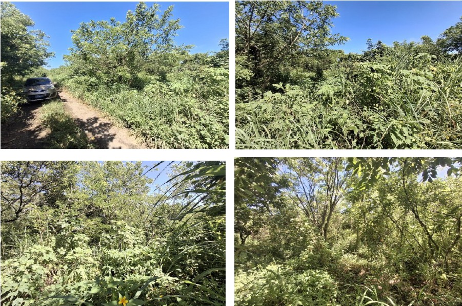 10020 Terreno en Venta en Quezaltepeque | 3.5 Manzanas