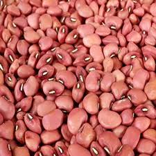 COWPEA VINE - RED KODI  KARAMANI |  சிகப்பு கொடி காராமணி