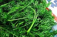 Sabak keerai  | சபக்கீரை