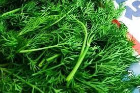 Sabak keerai  | சபக்கீரை