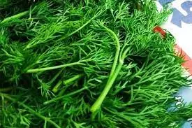 Sabak keerai  | சபக்கீரை