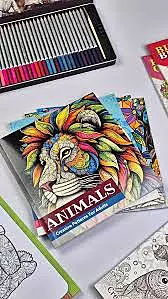 ADULT COLOPURING BOOK ASSORTED