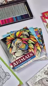 ADULT COLOPURING BOOK ASSORTED