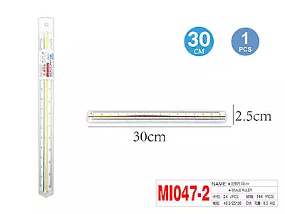 30CM SCALE RULER