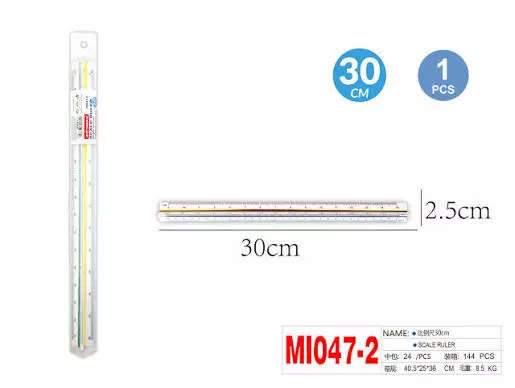 30CM SCALE RULER
