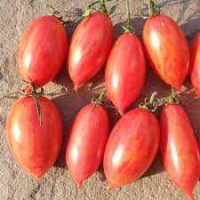 PINK TIGER TOMOTTO (பிங்க் டைகர் தக்காளி)