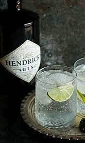 HENDRICKS GIN TOT