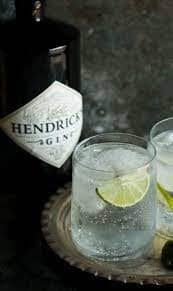 HENDRICKS GIN TOT