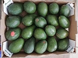 Avo Box