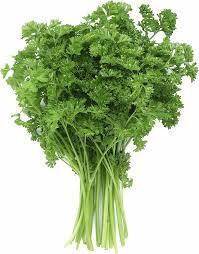 Herbs Parsley Pkt