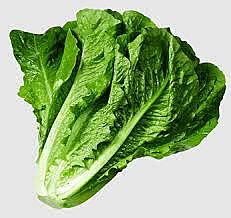 Lettuce Cos Pkt