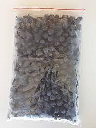 Frozen Blueberries kg