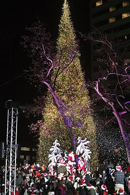 2026 TREE LIGHTING CEREMONY