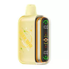 Geek Bar Pulse 2 25k- Mexico Mango
