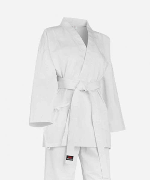 Judogui
