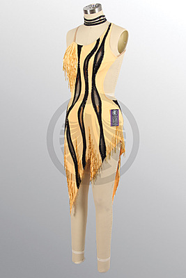 1009115 A495 SR 1009115 A495 SR