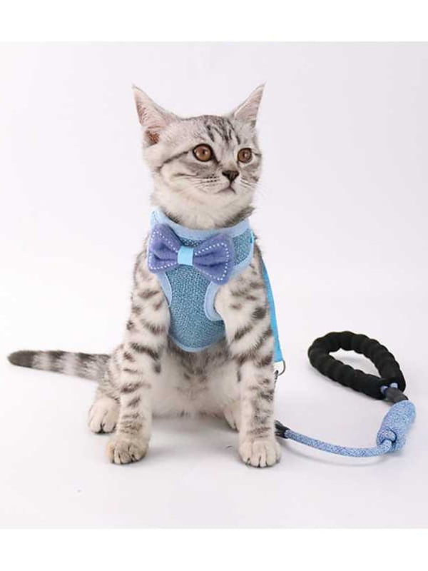 Petbroo Cat Harness With Lead  (1.0x115cm)