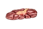 Cow Kidney