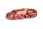 Cow Kidney