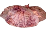 Cow Lungs (Fuku)