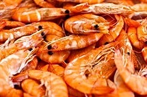 peeled Frozen white Prawns