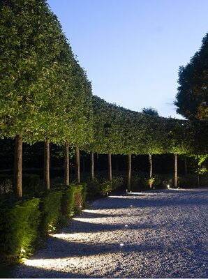 in-lite ACE in-lite ACE