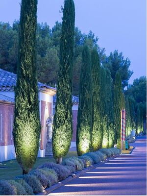 in-lite ACE in-lite ACE