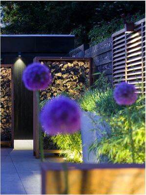 in-lite ACE DOWN in-lite ACE DOWN